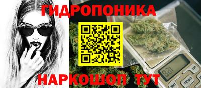 соль ск Можга