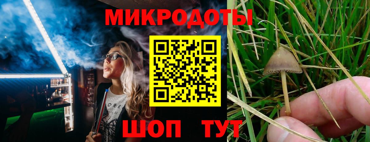Псилоцибиновые грибы Cubensis  Вход с VPN  Семилуки 